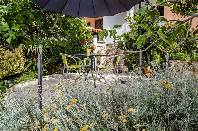 ISTRIA, ROVINJ - Apartment house with a beautiful garden – 2