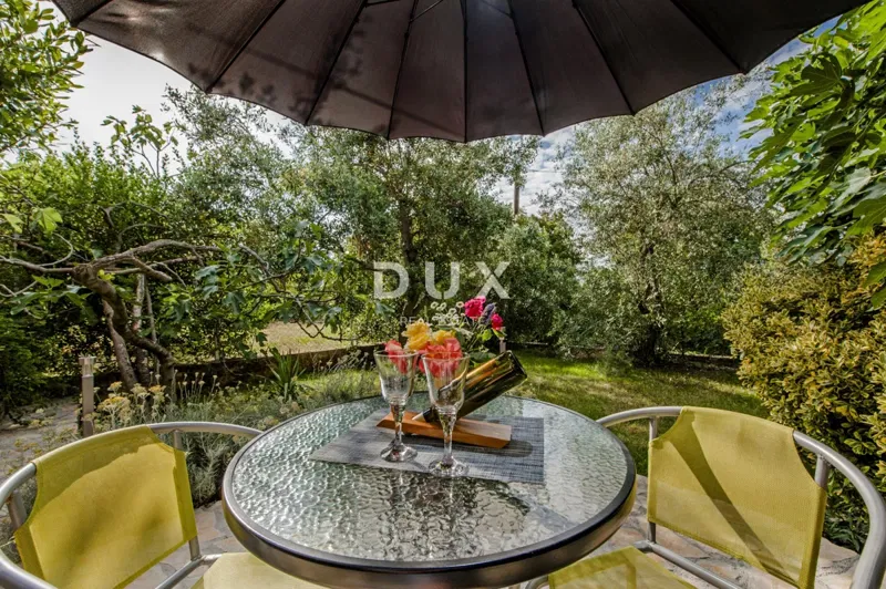 ISTRIA, ROVINJ - Apartment house with a beautiful garden – 3