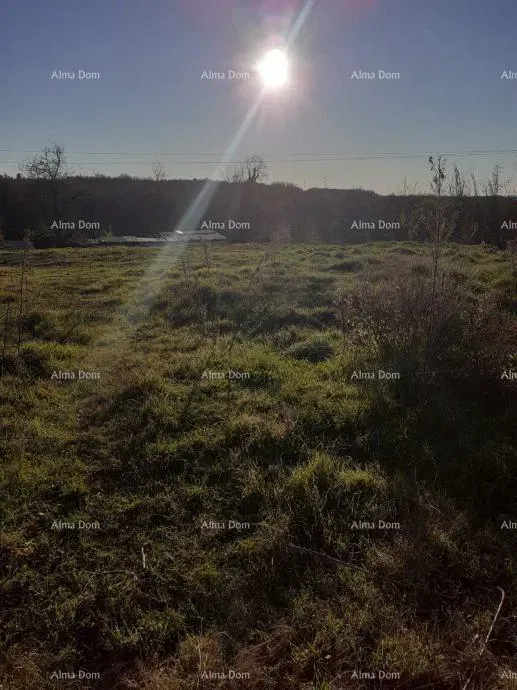 In vendita terreno a Brtonigla (Istria) – edificabile e agricolo, superficie totale di 5.000 m² – 2