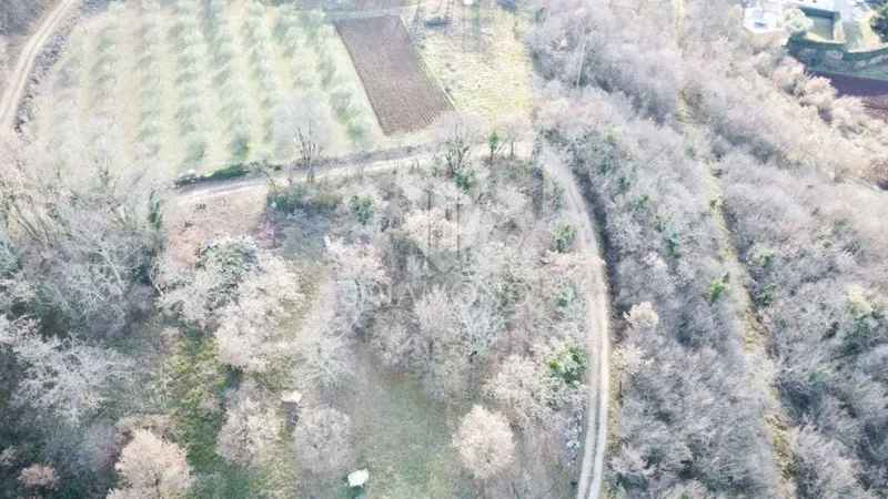 Parenzo, dintorni, terreno con vista panoramica sul mare – 2