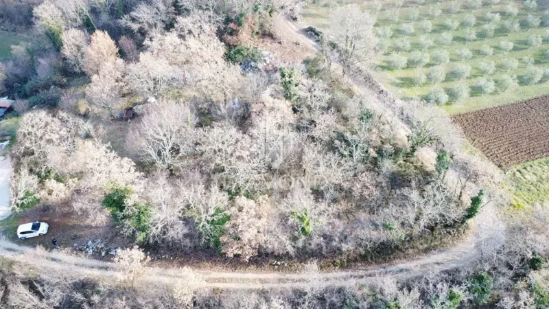 Parenzo, dintorni, terreno con vista panoramica sul mare – 3