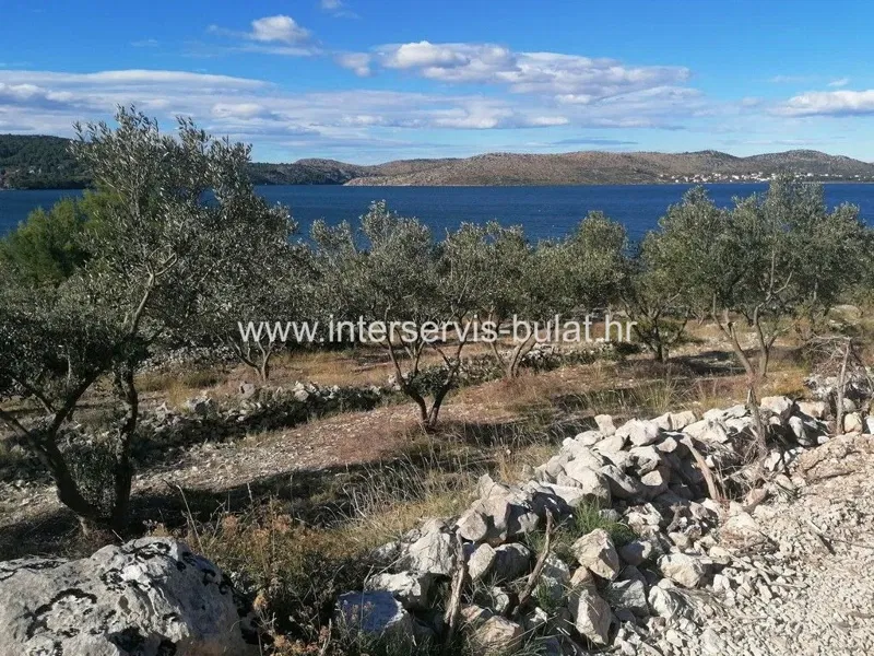 .::: Beautiful olive grove by Lake Prokljan :::. – 3