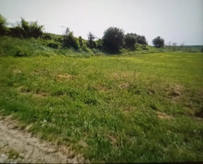 Land Buje, 551m2 – 2
