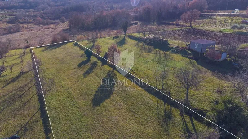 Motovun, okolica, građevinsko zemljište za Vaš dom!
