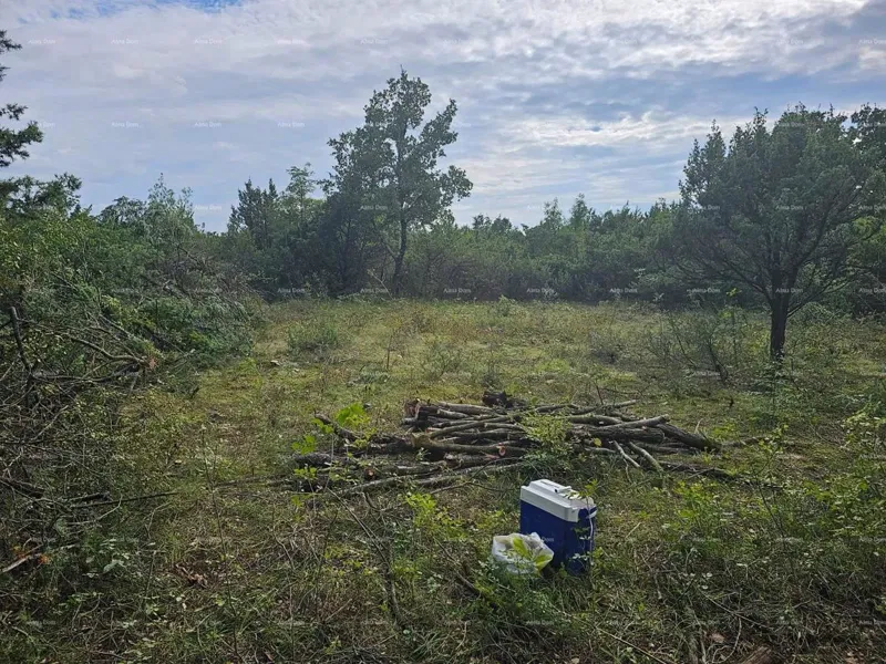 Construction and Agricultural Land Near Svetvinčenat: 11,100 m² for Your Investment – 2