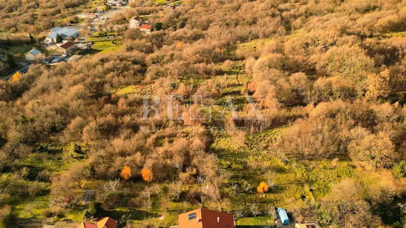 Bribir - agricultural land – 3