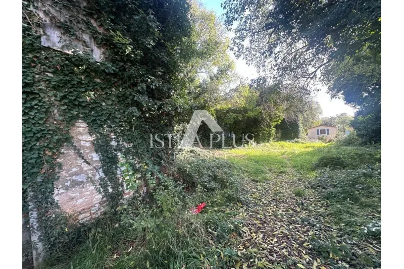 Istria, Tar-Vabriga - due case in pietra da ristrutturare su un grande terreno edificabile con potenziale di investimento – 2