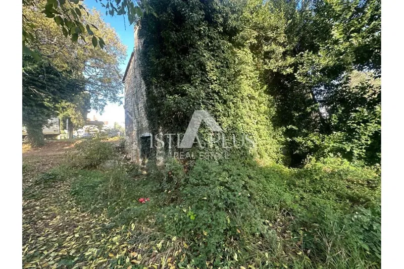 Istria, Tar-Vabriga - due case in pietra da ristrutturare su un grande terreno edificabile con potenziale di investimento – 3