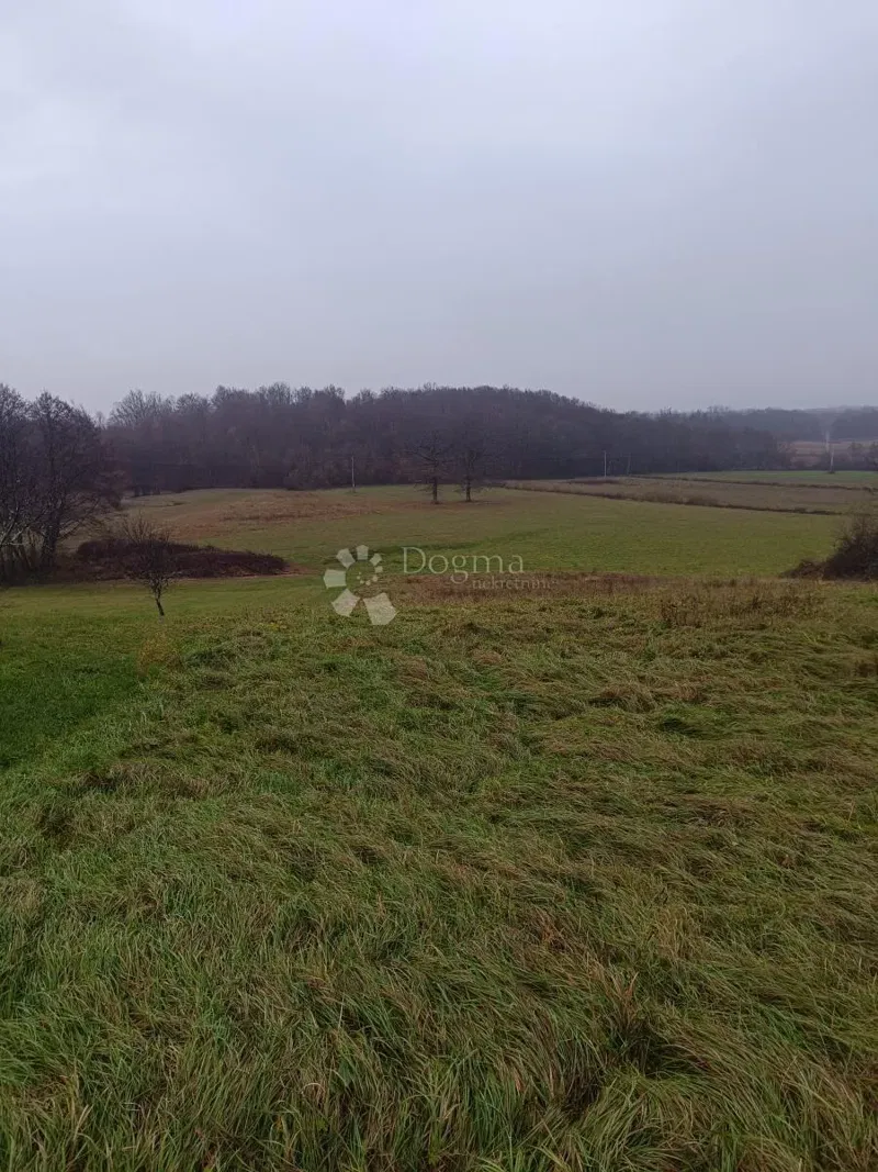 Mezőgazdasági terület Bratina, Pisarovina, 8.250m2