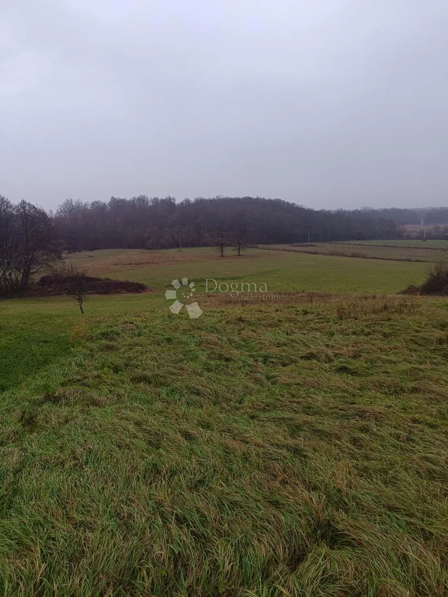 Mezőgazdasági terület Bratina, Pisarovina, 8.250m2
