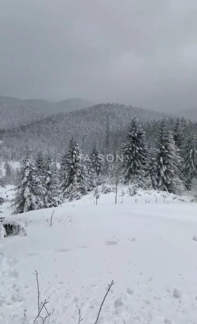 Land Stari Laz, Ravna Gora, 2.537m2 – 3