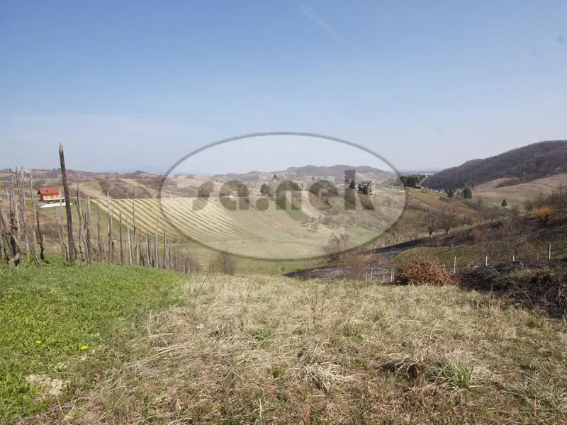 Land in Molvice – 2