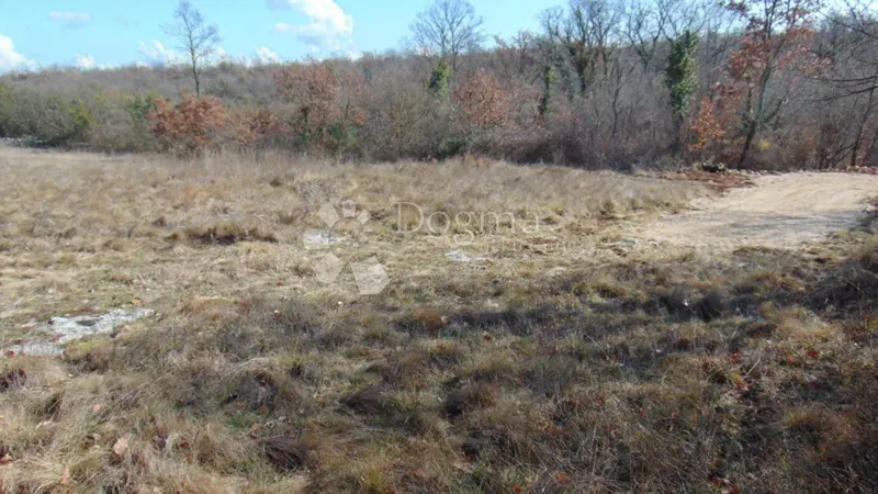 Działka Šajini, Barban, 3.352m2 – 2
