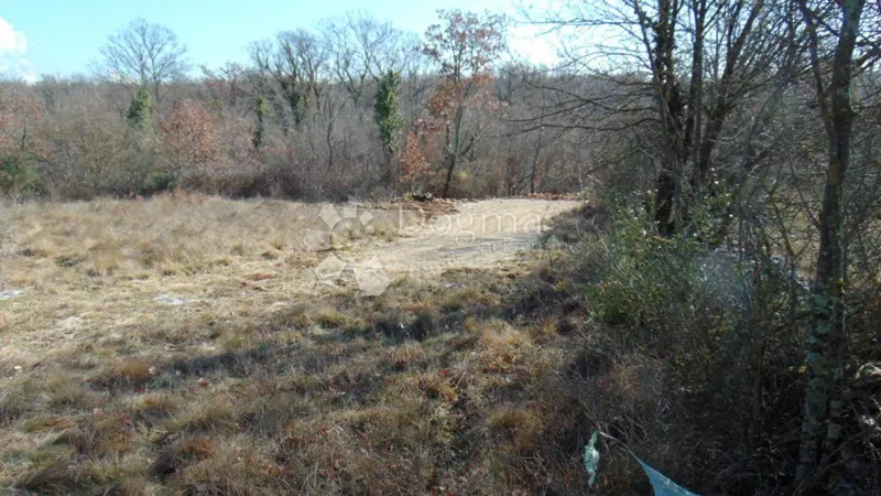 Działka Šajini, Barban, 3.352m2 – 3