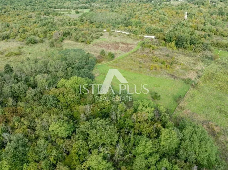 Istria, Poreč 4527 m2 agricultural land - Istria – 2