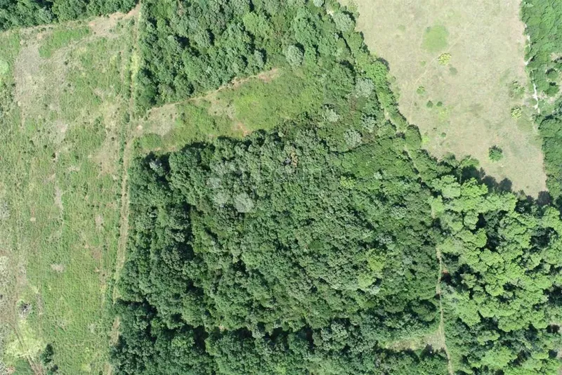 Land Ližnjan, 3.917m2 – 3