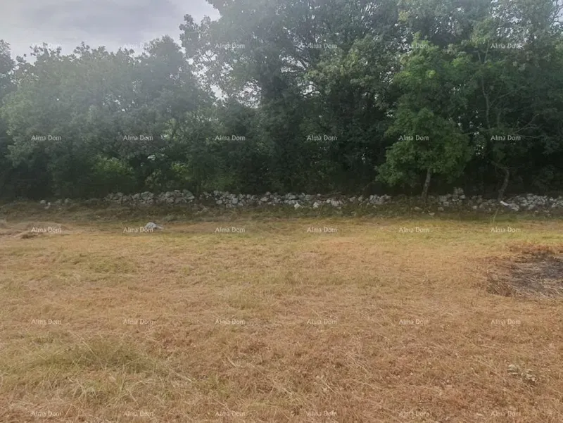 VIŠNJAN – ATTRATTIVO TERRENO EDILIZIO CON VISTA, 2.588 m² – 2