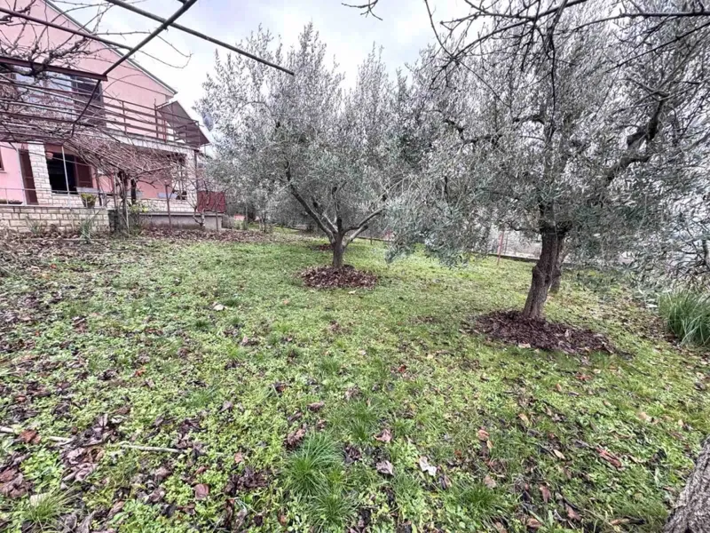 Dom Buje – 2