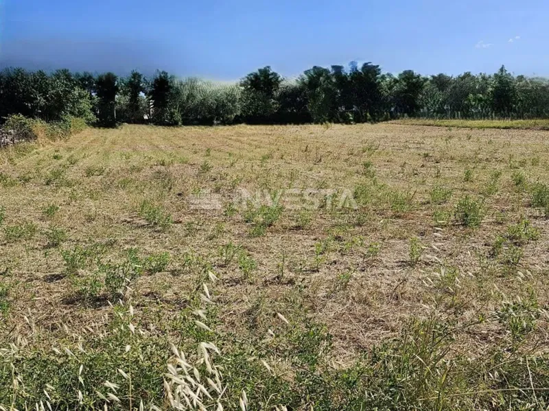 Vodnjan, vonzó építési telek 1056 m² – 3