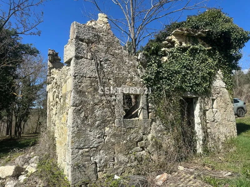 GROŽNJAN, BEAUTIFUL ESTATE FOR SALE WITH OPEN VIEW OF NATURE – 3