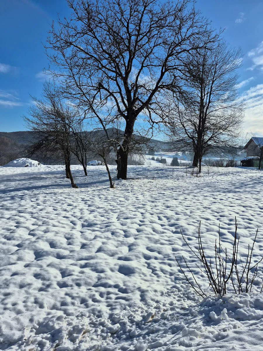 Ogulin OKOLICA zemljište 4820m2 (građevinskog oko 1500m)