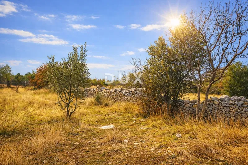 ISTRIA, VODNJAN – Terreno agricolo – 2