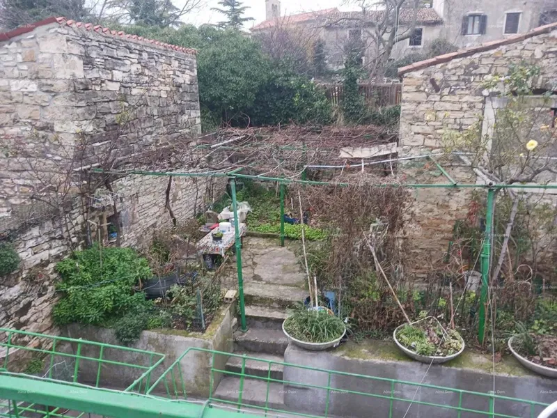 A house with a yard near the center, Buje! – 2