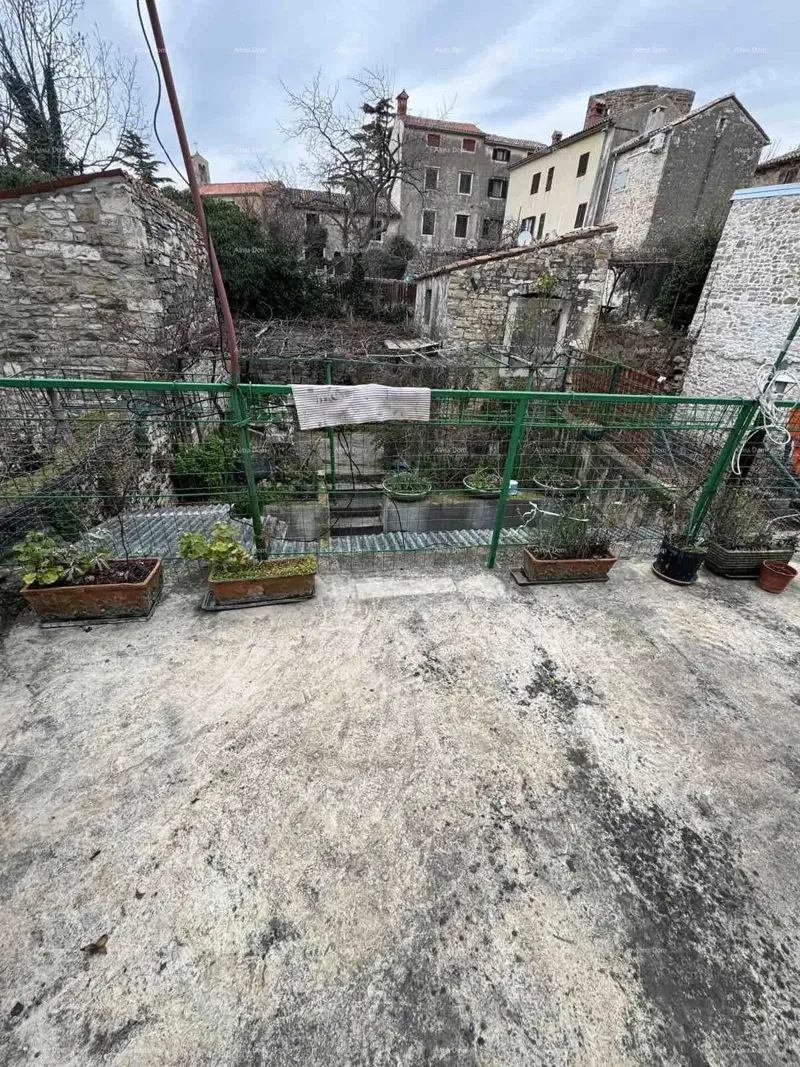 A house with a yard near the center, Buje! – 3