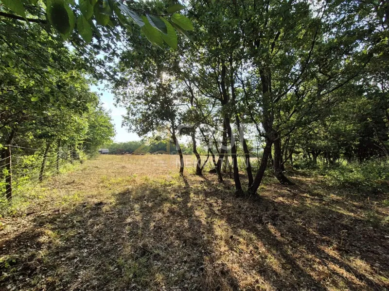 Land Kaštelir, Kaštelir-Labinci, 24.118m2 – 2