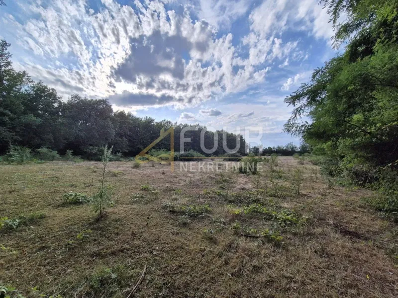 Land Kaštelir, Kaštelir-Labinci, 24.118m2 – 3
