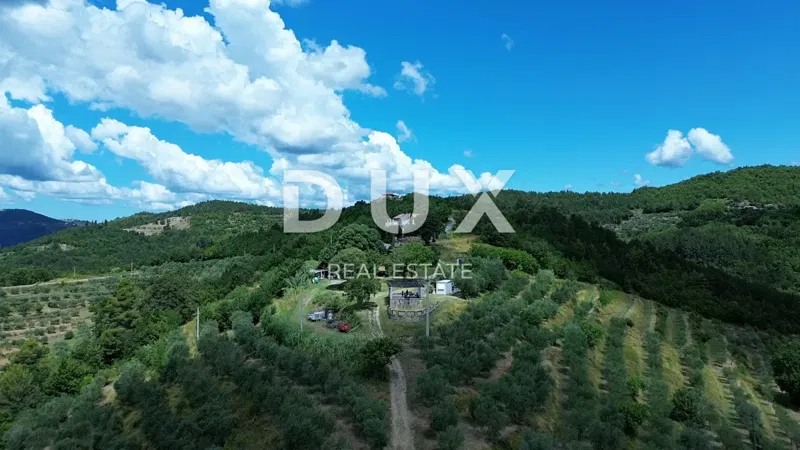 ISZTRIA, MOTOVUN - 170.000 m2-es nagy birtok, Isztria legszebb kilátása - Butoniga-tó, Učka, Ćićarija, Motovun és a Motovun szarvasgomba erdő!