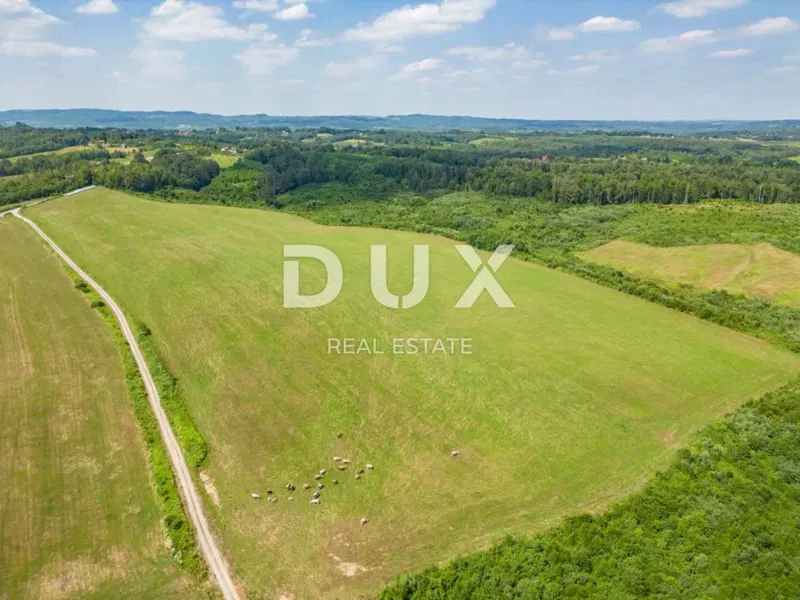 VRGINMOST, BLATUŠA - A large property with a well-established business! 40 hectares of land! – 2