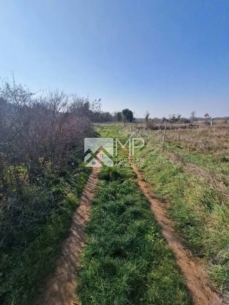 Agricultural land in Medulin - Your opportunity to invest in nature – 2