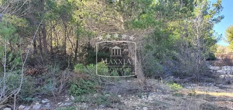 Terreno Pridraga, Novigrad, 805m2 – 3