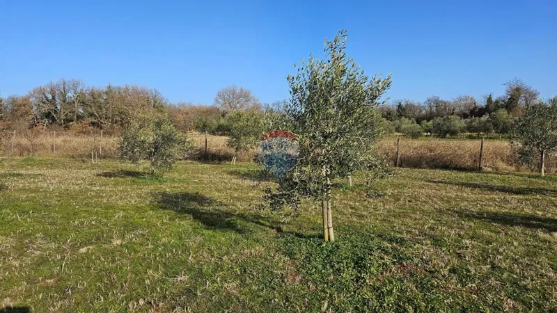 Non-structural plot Lovrečica, Umag, 1.327m2 – 2