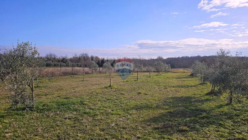 Non-structural plot Lovrečica, Umag, 1.327m2 – 3