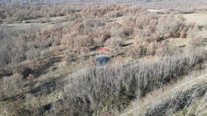 Земельный участок нестроительного назначения Baderna, Poreč, 27.086m2 – 2