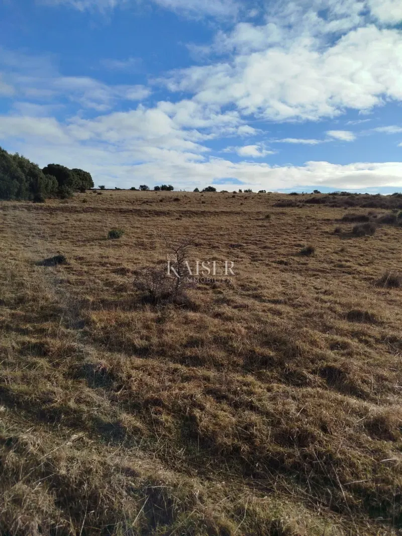 Otok Cres, poljoprivredno zemljište 111.715 m2
