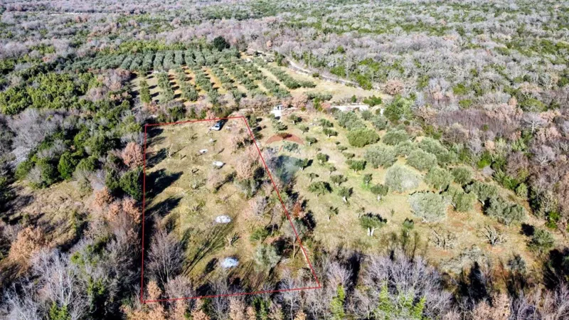 Terreno non edificabile Rovinj, 3.600m2 – 3