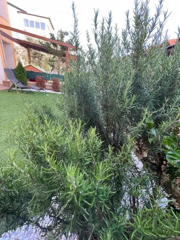 Flat Peroj, Vodnjan, 48,29m2 – 3