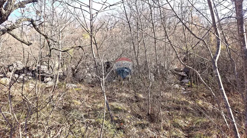 Terreno non edificabile Momjan, Buje, 4.989m2 – 2