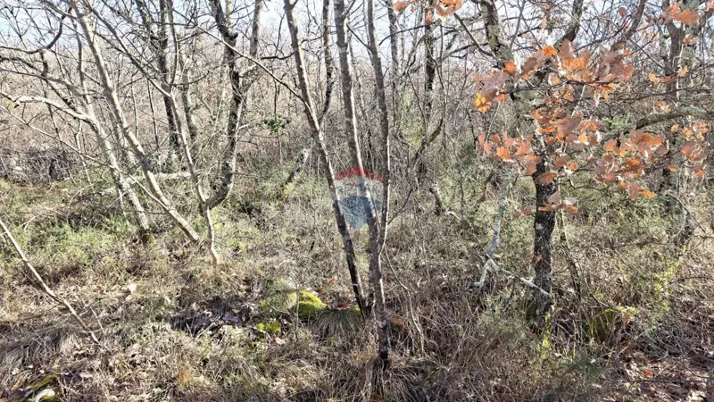 Terreno non edificabile Momjan, Buje, 4.989m2 – 3