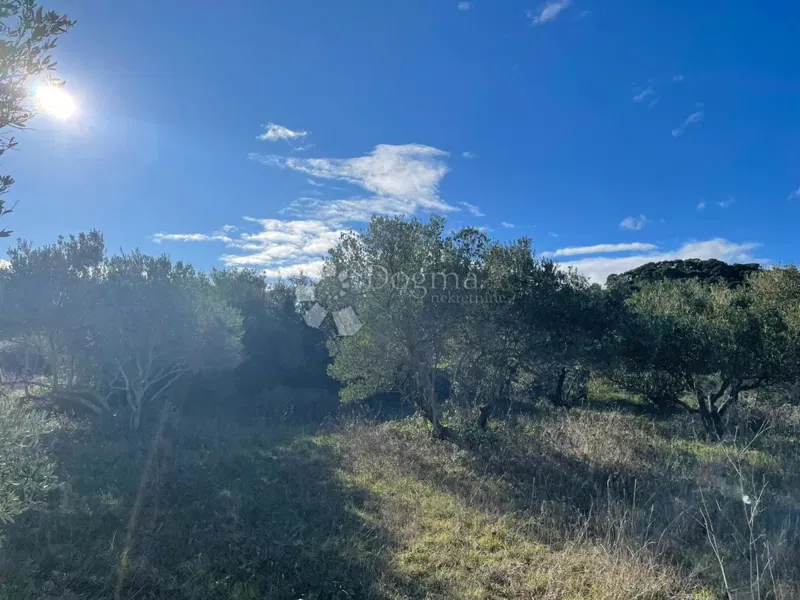 Építési telek Kraj, Pašman, 1.900m2