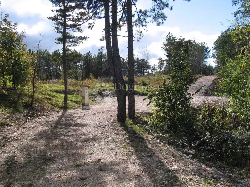 Building Land (2000 m²) with Extensive Forest (36,789 m²) – 2