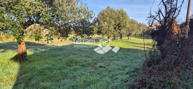 Istra, Vodnjan, Fondole, terreno agricolo 1184m2, #vendita – 2