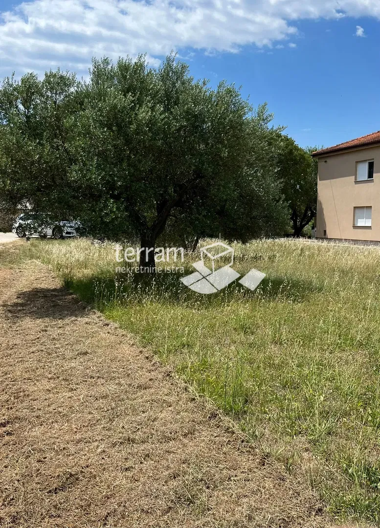 Istra, Vodnjan, Fondole, terreno agricolo 1184m2, #vendita – 3
