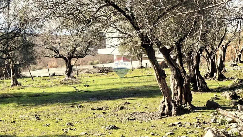 Building plot Krasica, Buje, 2.133m2 – 2