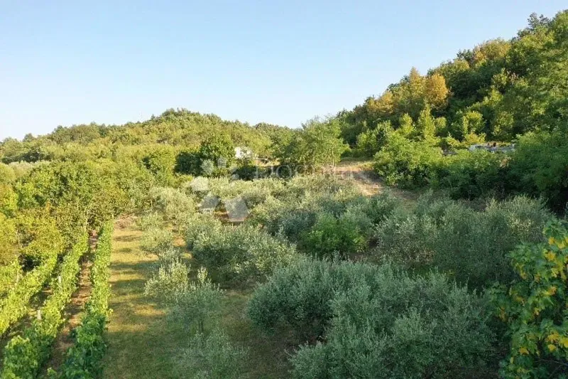Działka Gračišće, 4.067m2