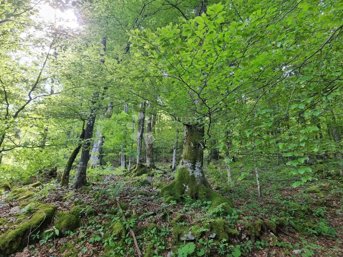 Ziemia rolna Delnice, 75,56m2