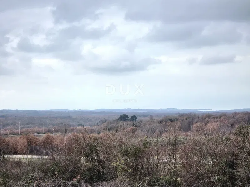 ISTRIA, VIŠNJAN - Terreno edificabile con progetto preliminare per una villa mediterranea e tutte le infrastrutture – 2